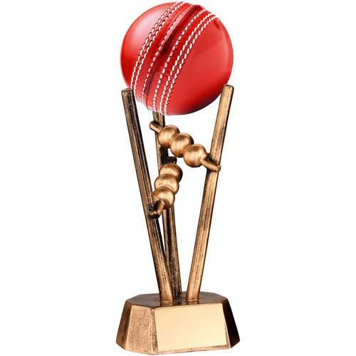 RF20 Resin Cricket Ball Holder