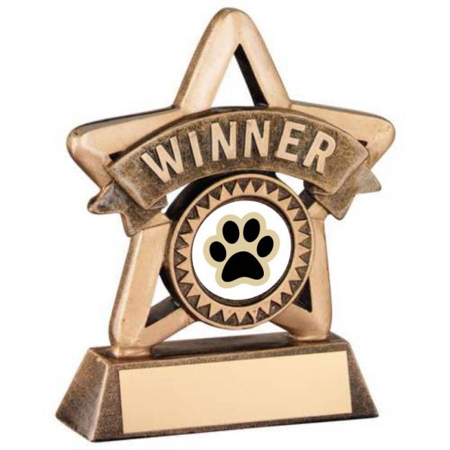 Bronze and Gold Winner Dog Star Trophy