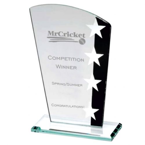 SK2 Glass Star Cricket Trophy