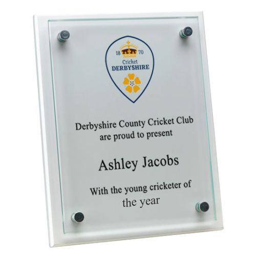 Cricket White Wood and Glass Award