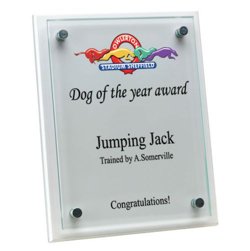 Greyhound White Wood & Glass Award