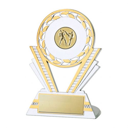 Q130-Martial Arts Silver/Gold Plastic Trophy