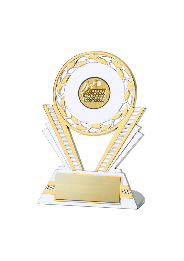 Q130 Netball Silver/Gold Plastic Trophy £3.50 from All Sports Awards