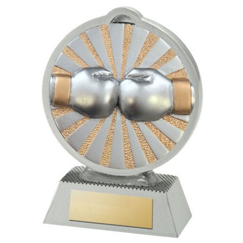 FG500-70mm Silver Boxing Gloves Centrepiece Trophy