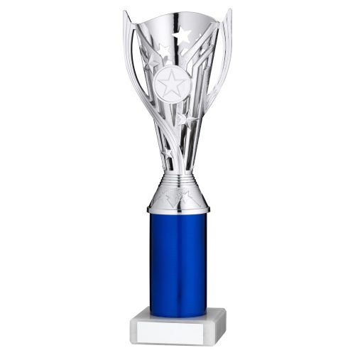 Silver Star Cup on Blue Riser