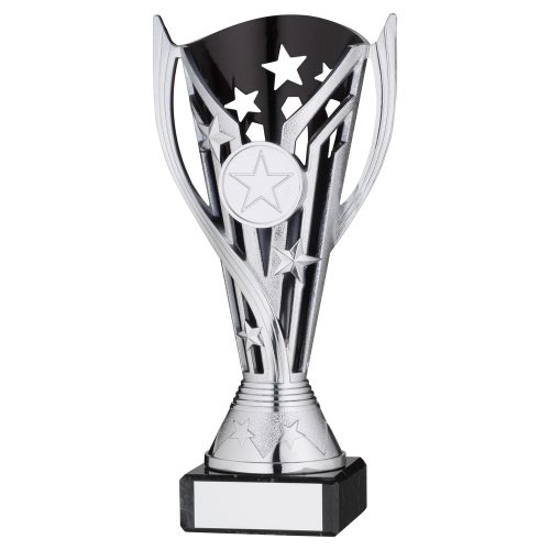 Silver/Black Plastic Trophy Cup on Marble Base
