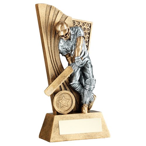 Male Cricket Batsman on Backdrop Trophy