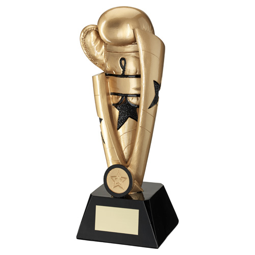 Boxing Gold Star Column Trophy