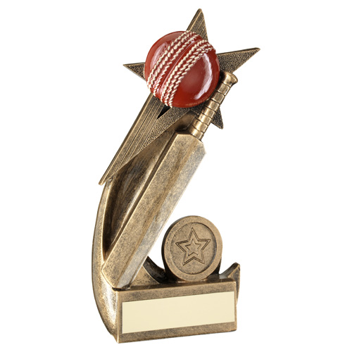 Cricket Ball & Bat On Shooting Star Trophy