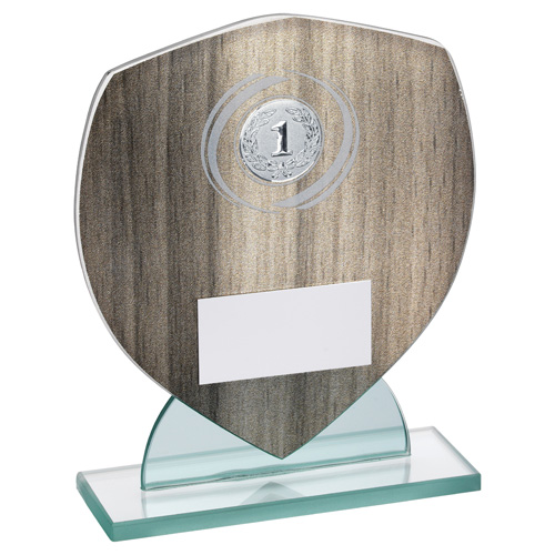1st Place Shield Glass Award